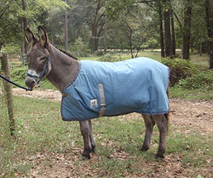 Gerry with Blanket