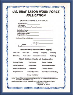 Bray Labor Work Force Application